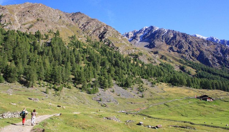 Wanderurlaub für Singles im Tuxertal: Wohlfühlen im Tiroler Tuxertal